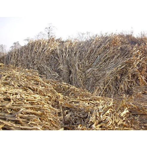 Agriculture Wastes