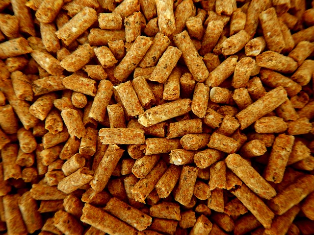Biomass Pellets